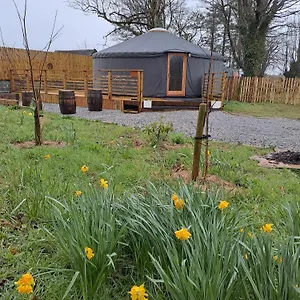 The Snowdrop , Galway Irlande